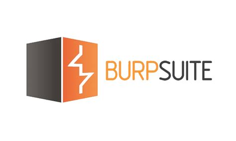 Burpsuite下载_Burpsuite官方免费下载_2024最新版_华军软件园