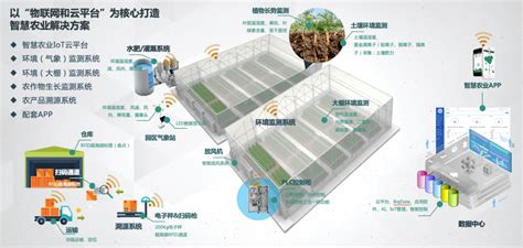 中联重科全过程的数字化“绝技”帮助水稻生产降本增产_中华网