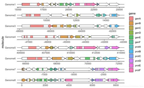 基因家族特征分析 - 染色体定位分析_tbtools染色体定位-CSDN博客