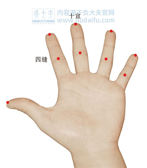 四缝的准确位置图图片 四缝的准确位置图图片