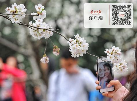 武汉大学2023年新闻与传播考研难度分析、参考书及备考指导 - 知乎