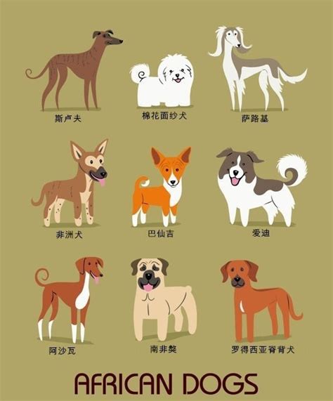 世界名犬图鉴图片
