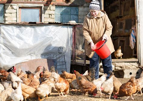 农村老实人赶集卖鸡，一上午被同样的手法骗两次，赶集的农民注意