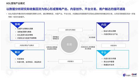 2022中国kol营销模式案例（kol策略与趋势研究报告）-报告智库