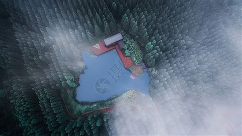 《奥比岛》手游迷雾森林地图怎么玩 迷雾森林地图路线攻略_九游手机游戏