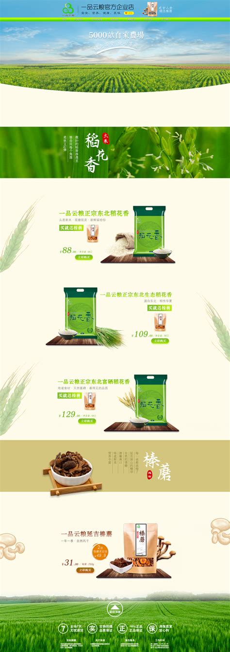 绿色有机大米网站源码 谷类农作物农业网站织梦模板|网页|企业官网|gooxao - 原创作品 - 站酷 (ZCOOL)