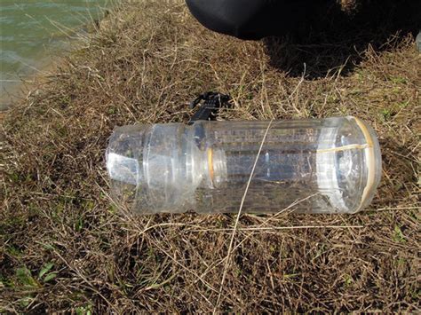 野外求生：塑料瓶捕鱼陷阱制作 – 野人部落