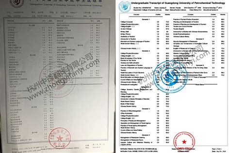 广东石油化工学院成绩单出国留学公证认证翻译件模板