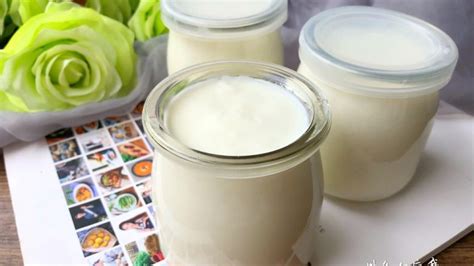 自制酸奶 - 自制酸奶做法、功效、食材 - 网上厨房