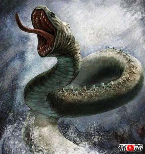 魔巨蟒,巨蟒,巨蟒蛇_大山谷图库
