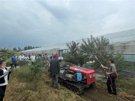 盐城市农业农村局 农业机械化 林果生产全程机械化作业现场演示会成功举办