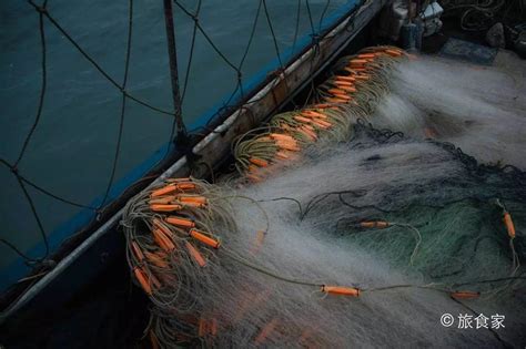 极速真探 | 休渔期市场上海产品不少 仅野生海鱼价格有所上涨_深圳新闻网