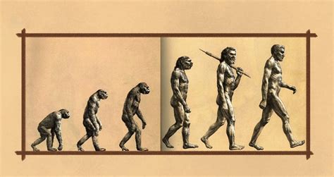 一亿年后的人类图片 一万年以后的人类图片 - 苗苗知道
