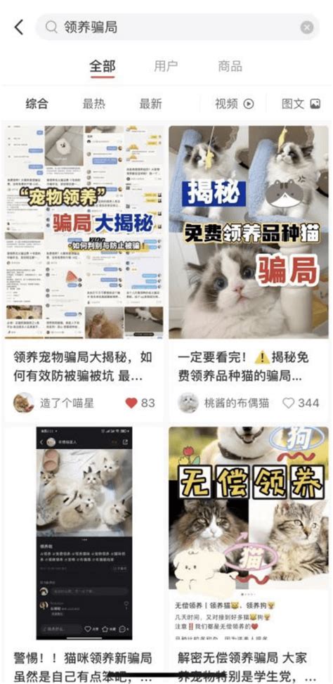 上海宠物猫狗免费领养陷阱多，大家提高警惕！帮助寻找丢失的狗和猫！-宠物网