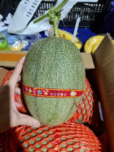 Farmers harvest Hami melons in NW China’s Xinjiang