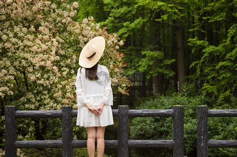美女图背影图片