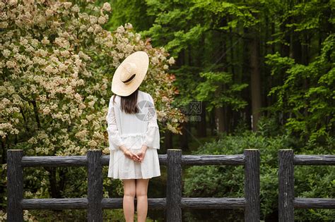 舞蹈图片唯美背影_夕阳下的舞蹈图片 - 随意云