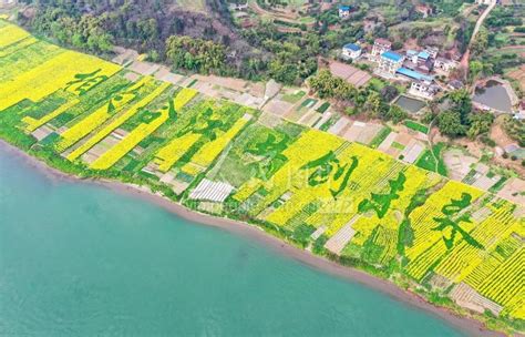 祝贺！合江县被评为2022年度泸州市乡村振兴优秀区县