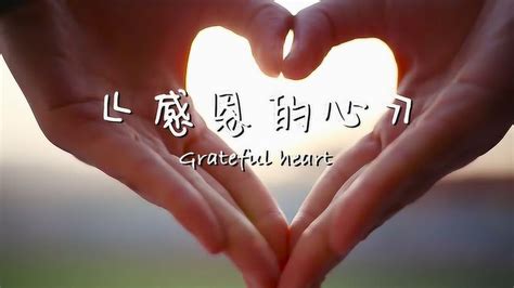 《感恩的心》山东现代学院手语舞_腾讯视频