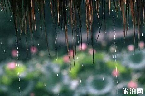 梅雨季节是什么时候？南京杭州上海梅雨季节天气怎么样？