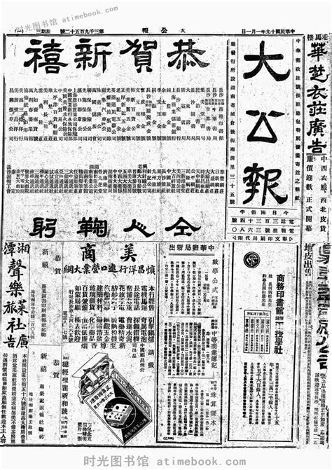 《大公报》(长沙)1930-1931年影印版合集 电子版. 时光图书馆
