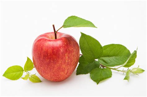 苹果的营养价值及功效与作用_健康大百科
