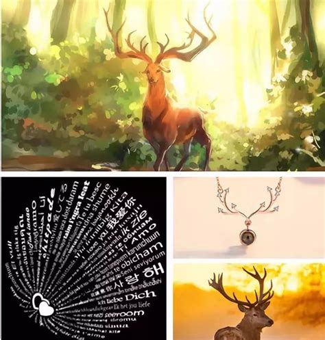 四只鹿的寓意和象征,四个鹿的寓意,5只鹿的寓意_大山谷图库
