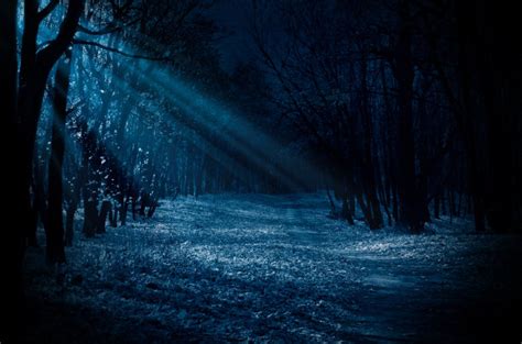 森林之夜图片素材 森林之夜设计素材 森林之夜摄影作品 森林之夜源文件下载 森林之夜图片素材下载 森林之夜背景素材 森林之夜模板下载 - 搜索中心