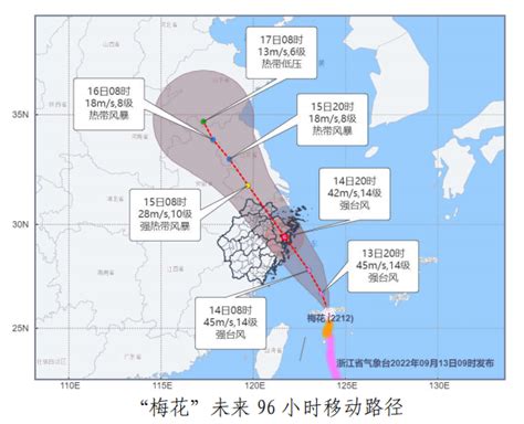 台风“梅花”影响 上海市14日至15日大部有暴雨、局部大暴雨_社会_中国小康网