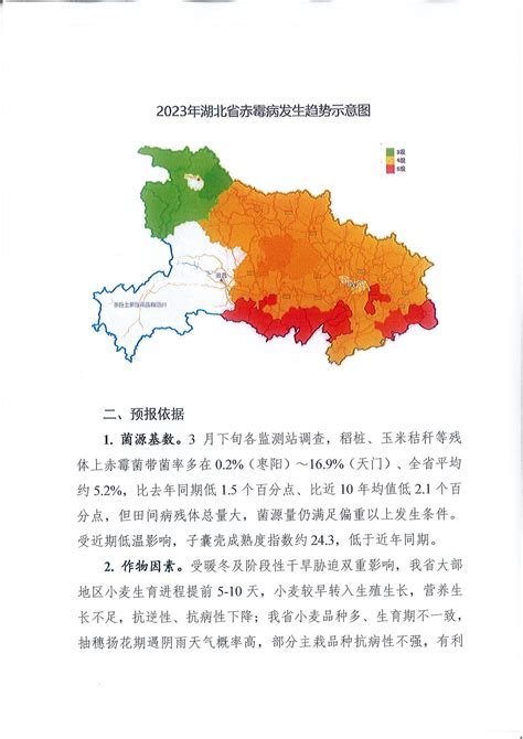 2023年湖北省小麦赤霉病发生趋势（第五期）--湖北省农业农村厅