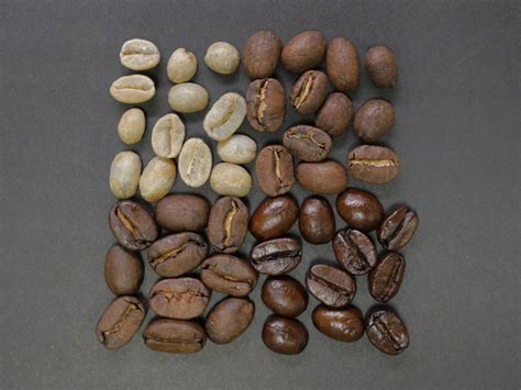 也门摩卡马塔莉Mocca Matari庄园咖啡豆好喝吗_也门咖啡品种介绍 中国咖啡网