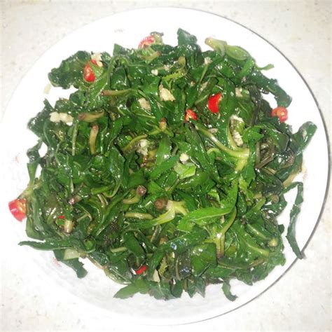 苦苦菜图片