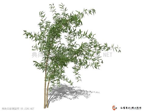 园林景观竹子植物素材设计su模型[原创]