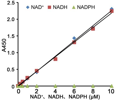 Amplite NAD/NADH比率检测试剂盒（荧光法） 红色荧光 货号15263-AAT Bioquest荧光染料 | 修饰性PEG