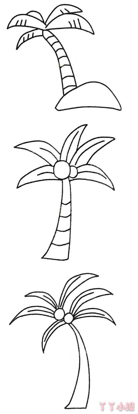 简笔画椰子树怎么画简单又漂亮图解 - 丫丫小报