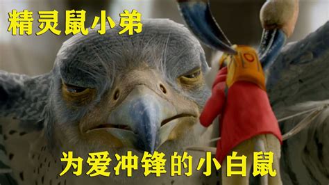 《精灵鼠小弟2》为爱冲锋的小白鼠，勇斗凶猛的猎鹰！_腾讯视频