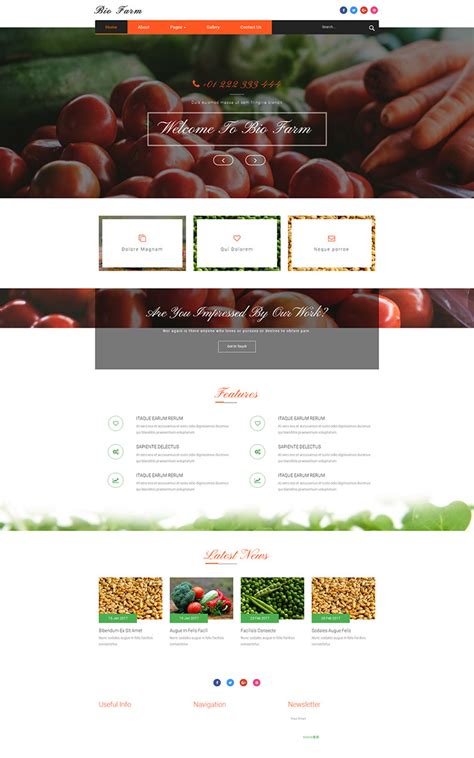 宽屏大气植物种植蔬菜农场整站网站模板 - 素材火