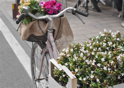 三轮摩托车，盆栽植物在街上出售。高清摄影大图-千库网
