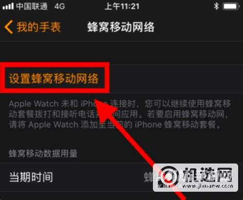 iPhone手机如何设置应用使用WLAN和蜂窝移动网 - 北京维耐特IT外包服务公司