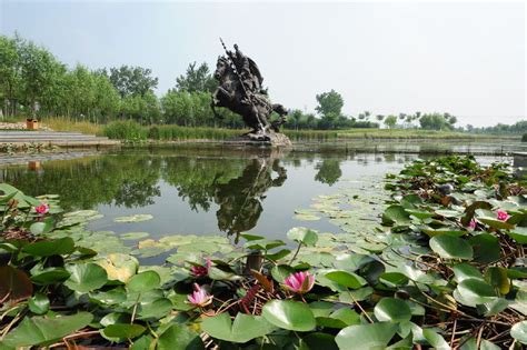 【中国式现代化迁安场景】我市打造天蓝地绿 山清水秀的生态场景 - 迁安市人民政府