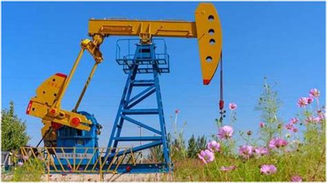 中石油四川泸州页岩气勘探获重大发现|中石油|油田|泸州_新浪新闻
