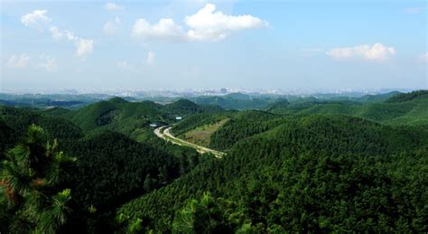 广西国有高峰林场