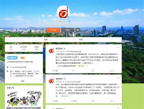 2013莱芜市政府工作报告Word模板下载_编号ladpmboe_熊猫办公
