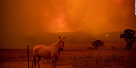 消防员：澳大利亚山火重灾区所有森林大火已被控制_手机新浪网