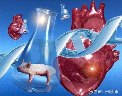 人面兽心图片