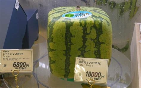 吃瓜群众大呼：18元一斤，今夏的西瓜太贵了！——上海热线HOT频道