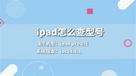 如何在网上查iPad的首次使用时间 - 知晓星球