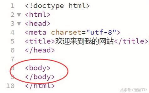网页设计技术之HTML的基本结构说明/ - DIVCSS5