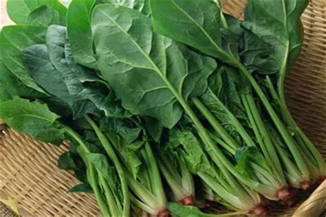 菠菜虽然营养，但不能乱吃，菠菜的食用禁忌要记牢，附6种做法_蔬菜_什么值得买