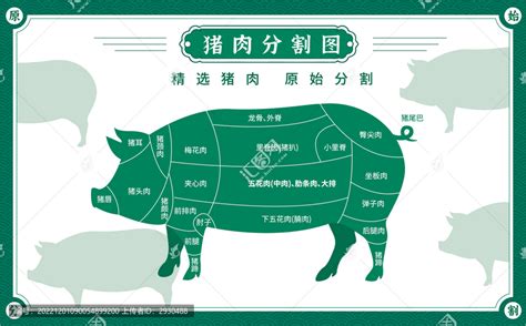 猪肉部位分割图设计图__其他_生活百科_设计图库_昵图网nipic.com